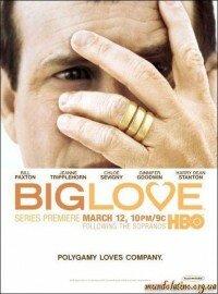 ������� ������ / Big Love (1,2,3,4 �����) 9 ����� (SUB) ������